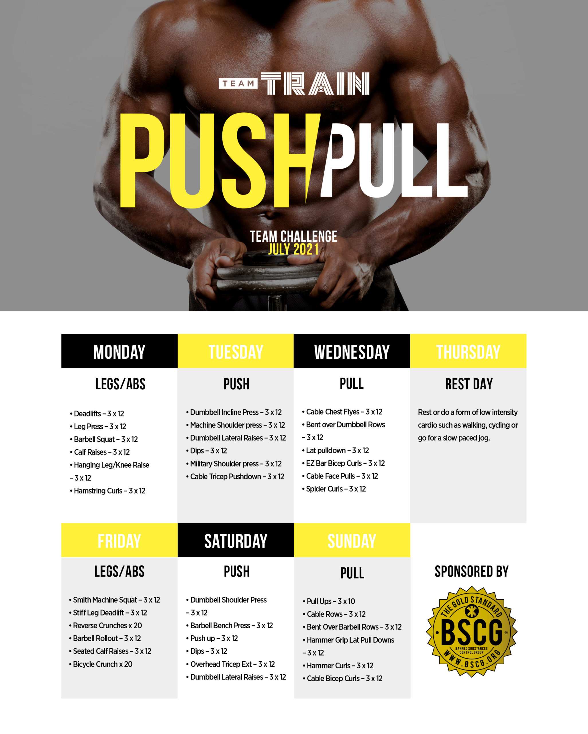 Push Pull Workout Plan For Beginners Kayaworkout co